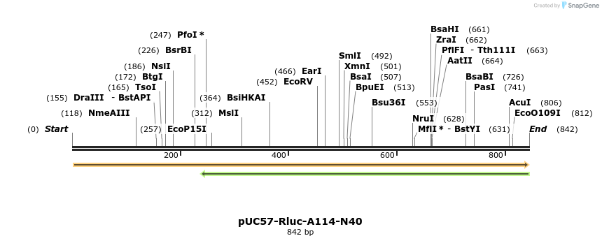77067_map