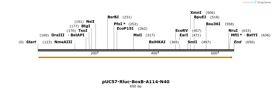 77068_map