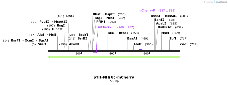 77069_map