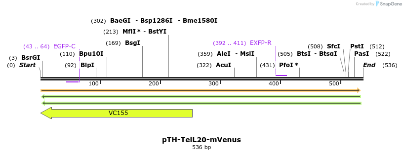 77074_map