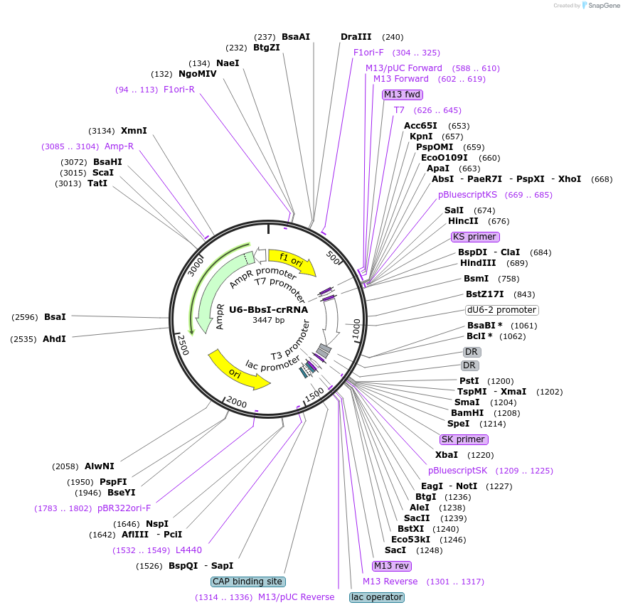 77075_map