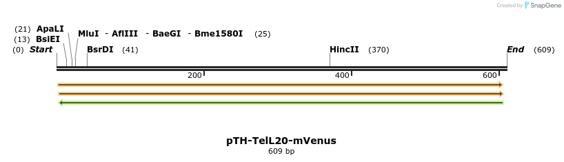 77077_map