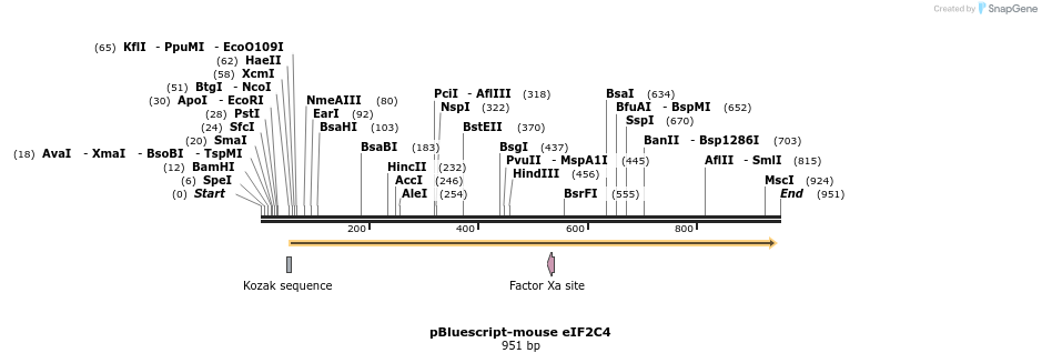 77079_map