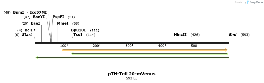 77080_map