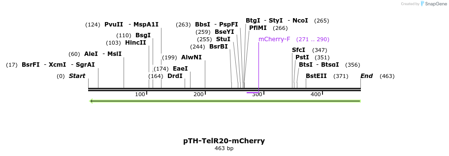 77081_map