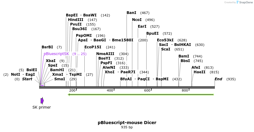 77082_map