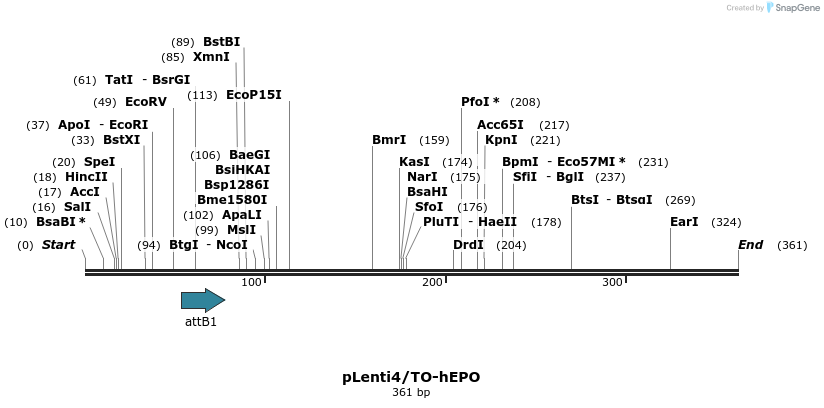 77083_map