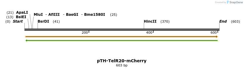 77085_map