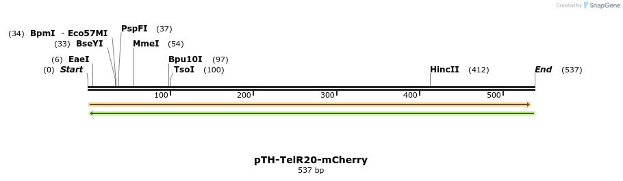 77088_map
