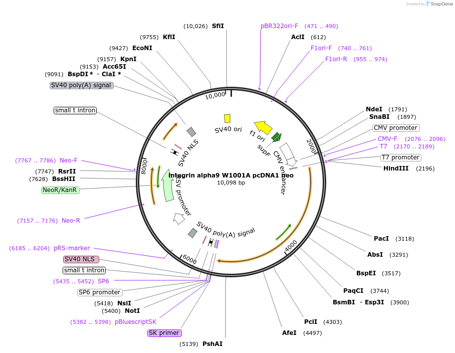 7709_map