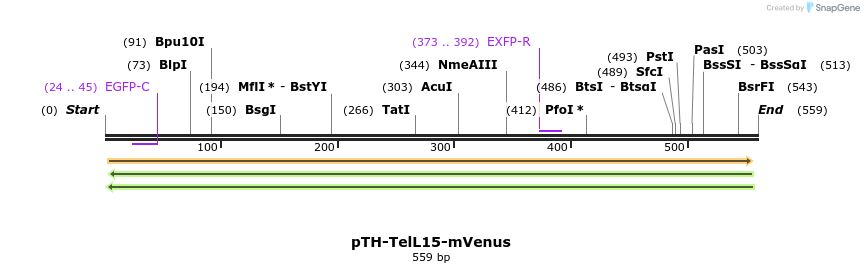 77090_map