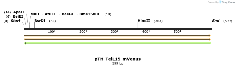 77091_map