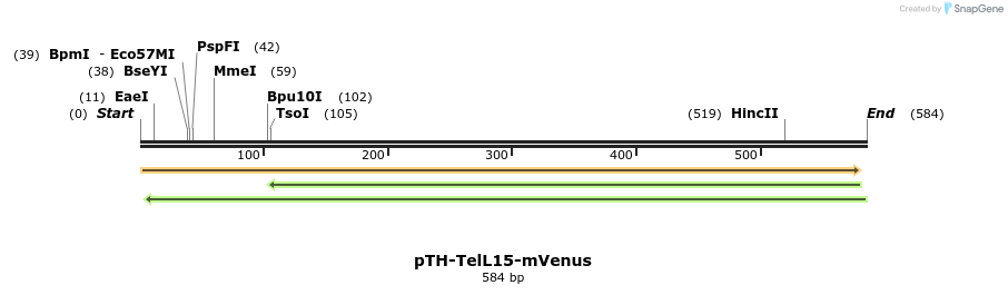 77092_map