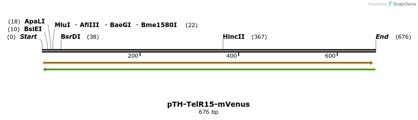 77093_map