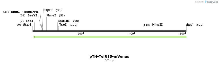 77094_map