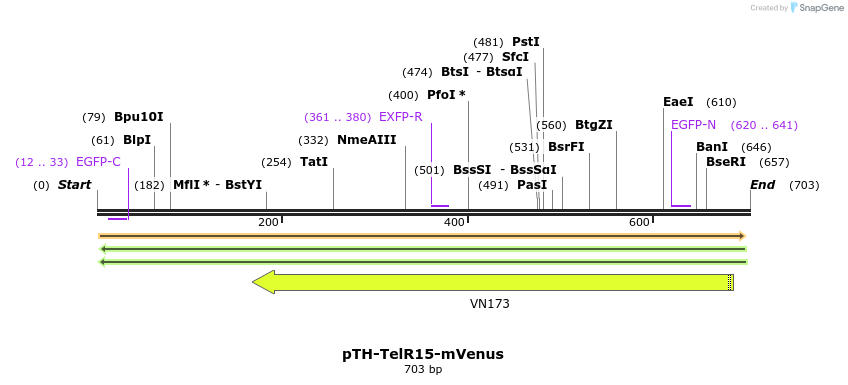 77095_map