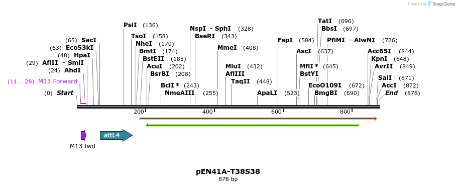 77099_map