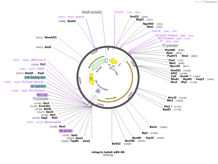 7710_map