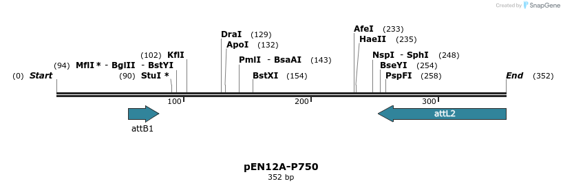 77100_map