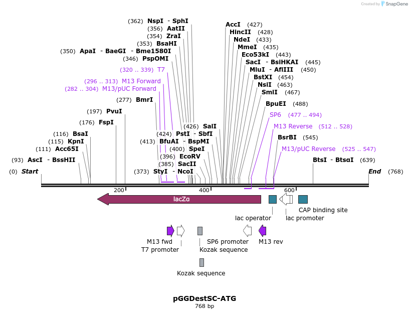 77101_map