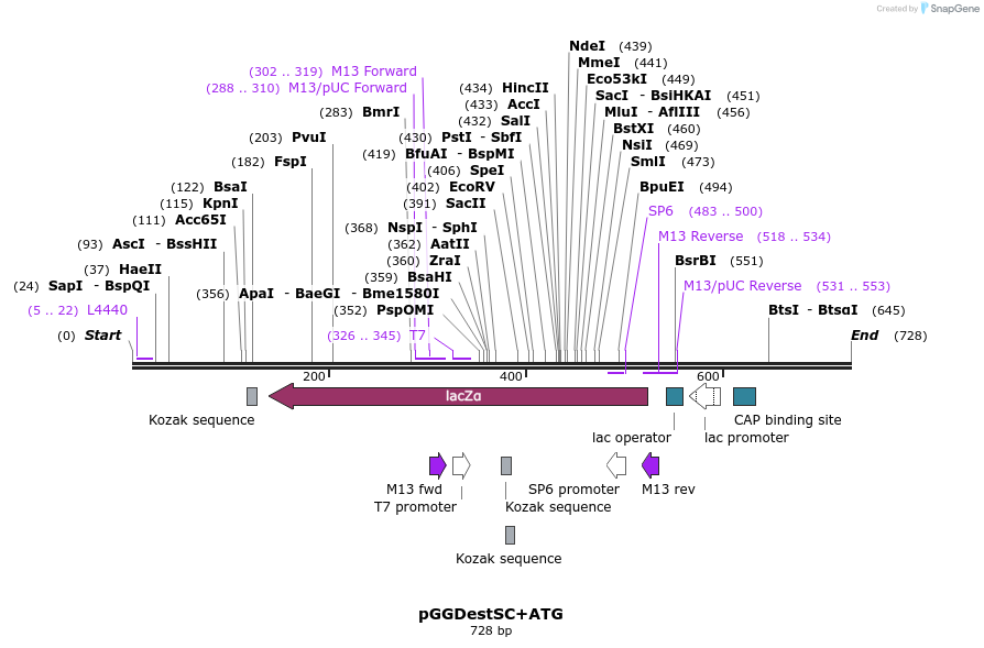 77102_map