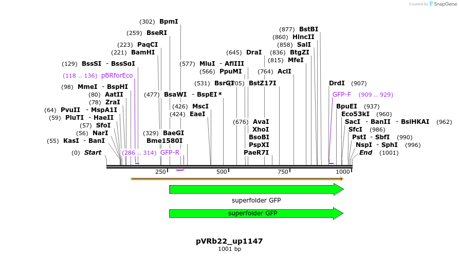 77105_map