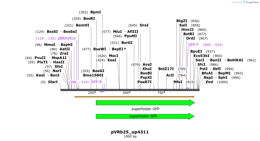 77106_map