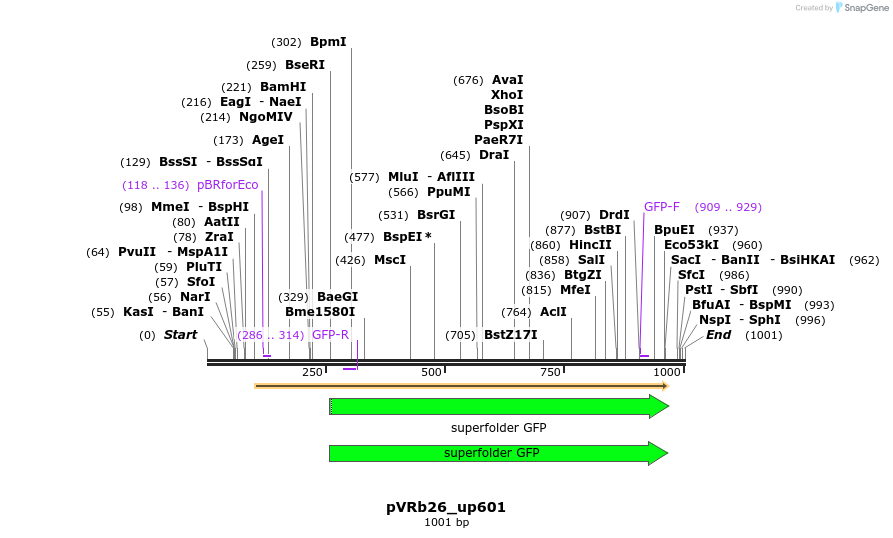 77107_map