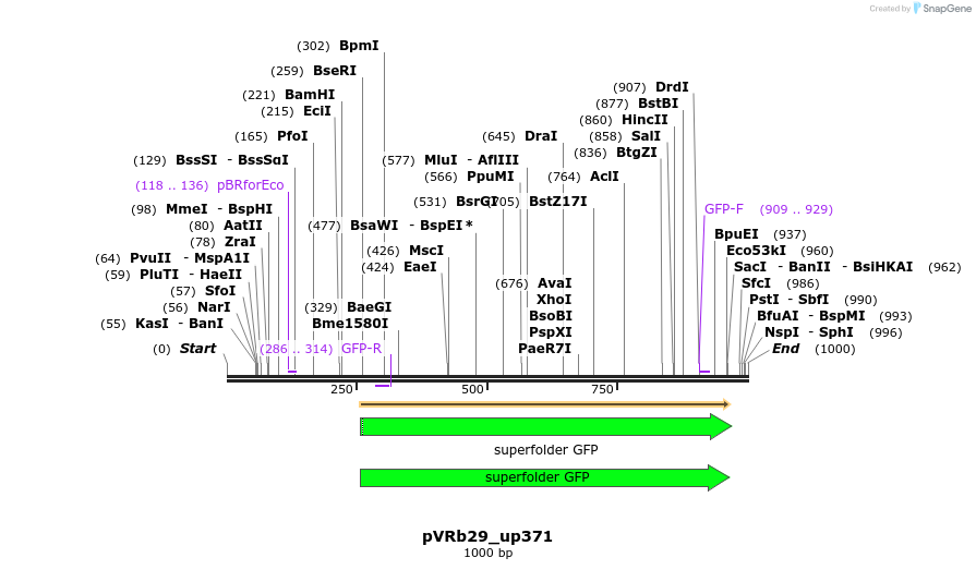 77108_map