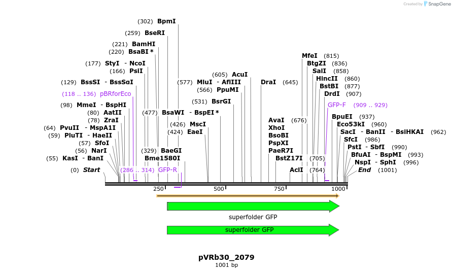 77109_map