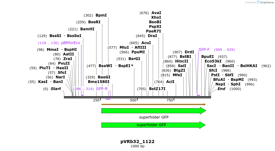 77111_map