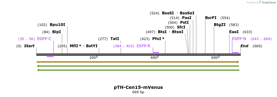 77117_map