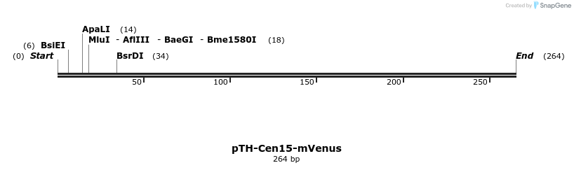 77118_map