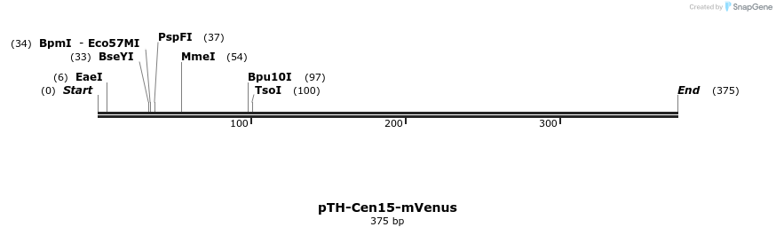 77119_map