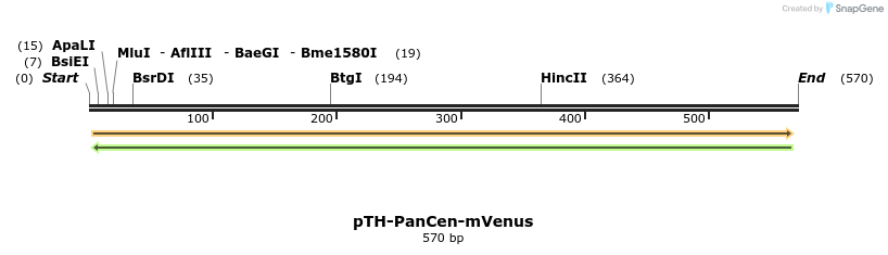 77121_map