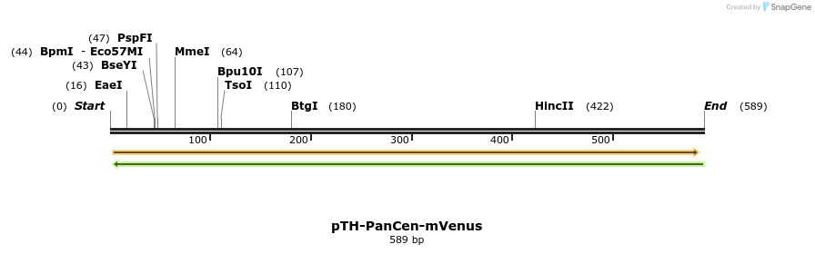 77122_map