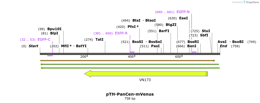 77125_map