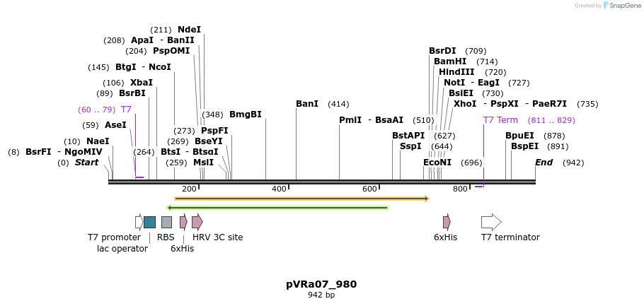 77126_map