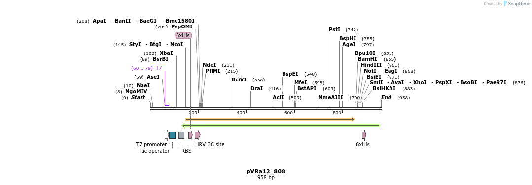 77134_map