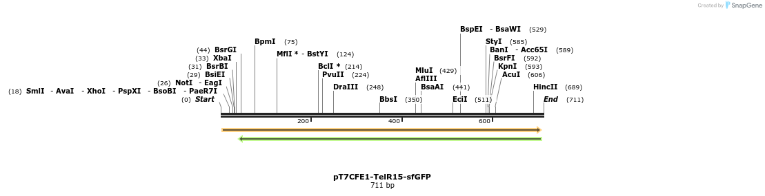 77135_map
