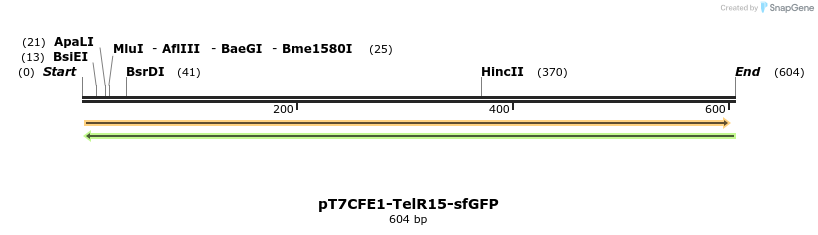 77136_map