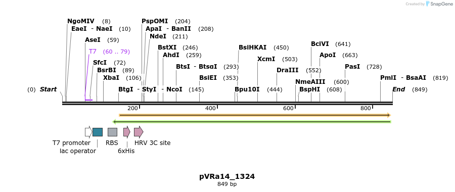 77137_map