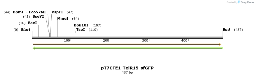 77138_map