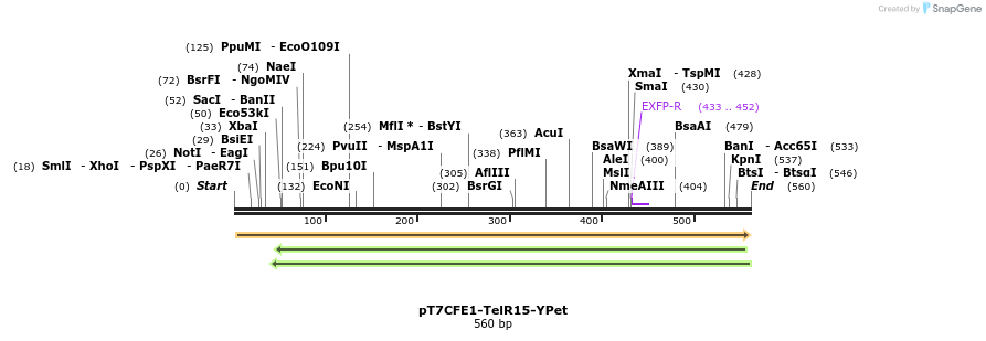 77140_map
