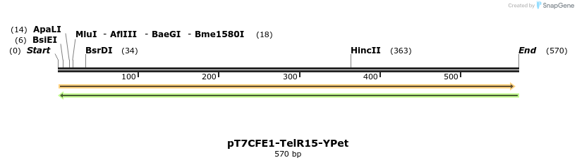 77141_map