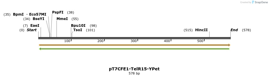 77142_map