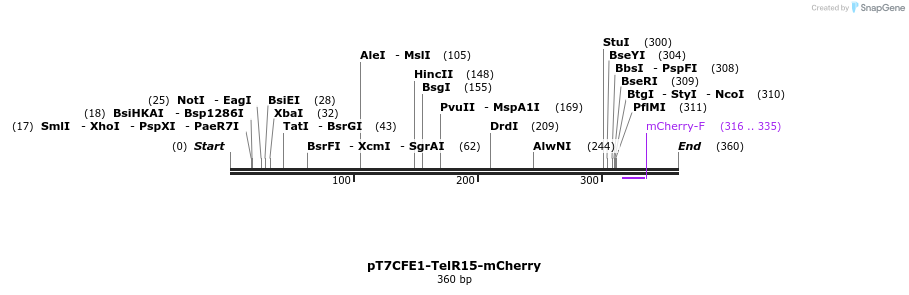 77144_map