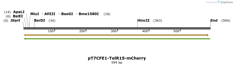77145_map
