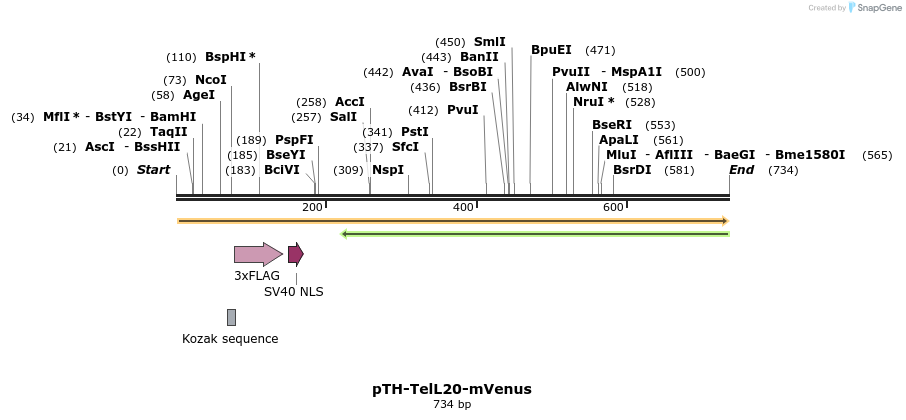 77146_map