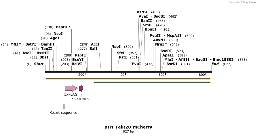 77148_map
